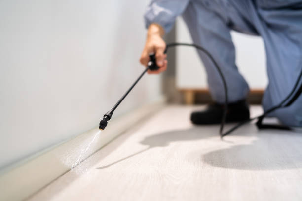 Licensed Fumigation Services service in Allegany County County, MD - Nex Pest Control